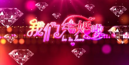婚礼视频素材 婚庆视频素材 浪漫温馨开场舞台背景专题