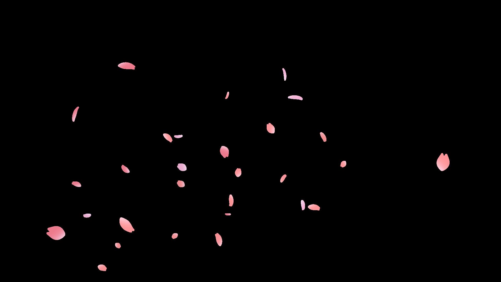 美丽樱花花瓣飘落前景视频素材