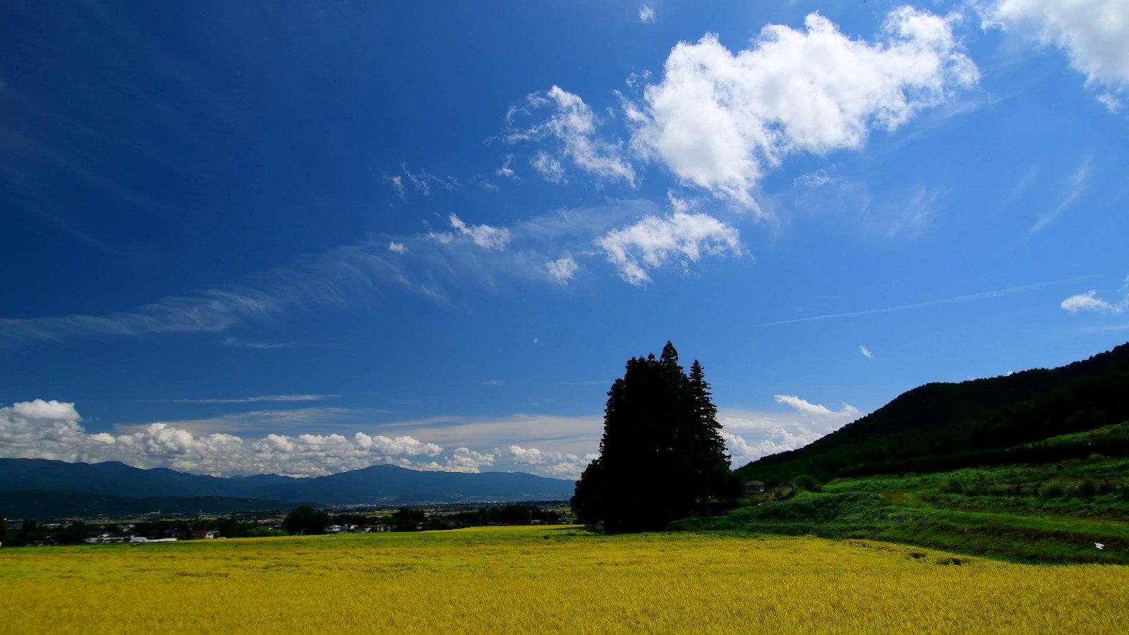 【素材推荐】日本田园风景视频素材