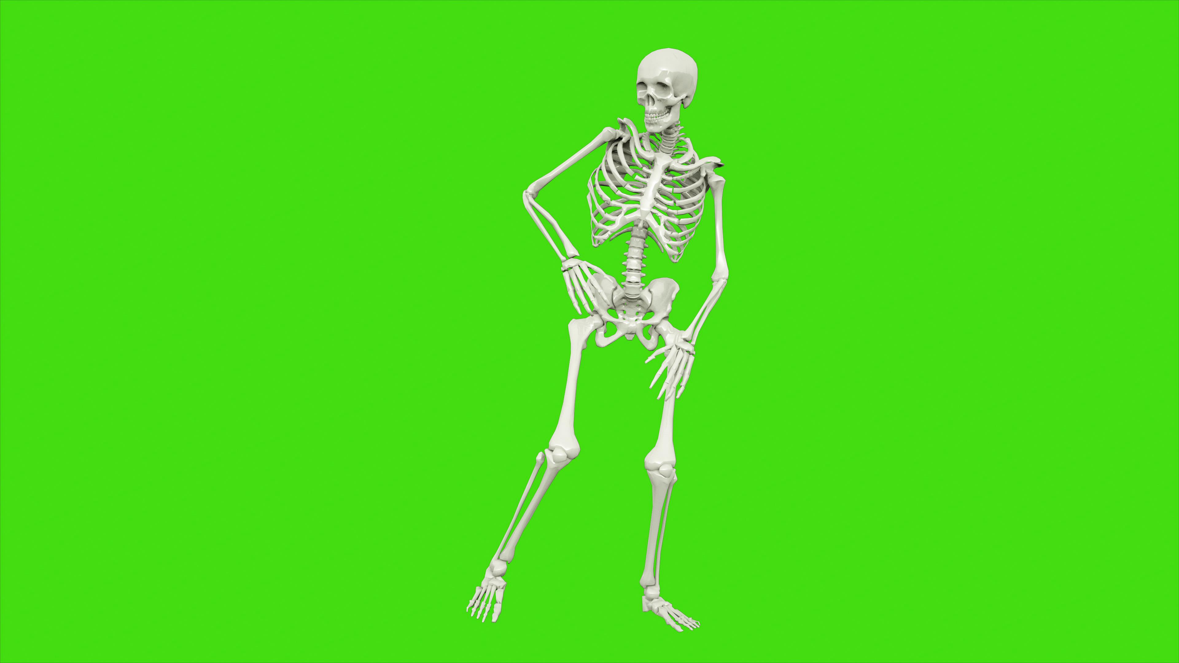 4K骨架骷髅跳舞循环绿幕动画视频素材