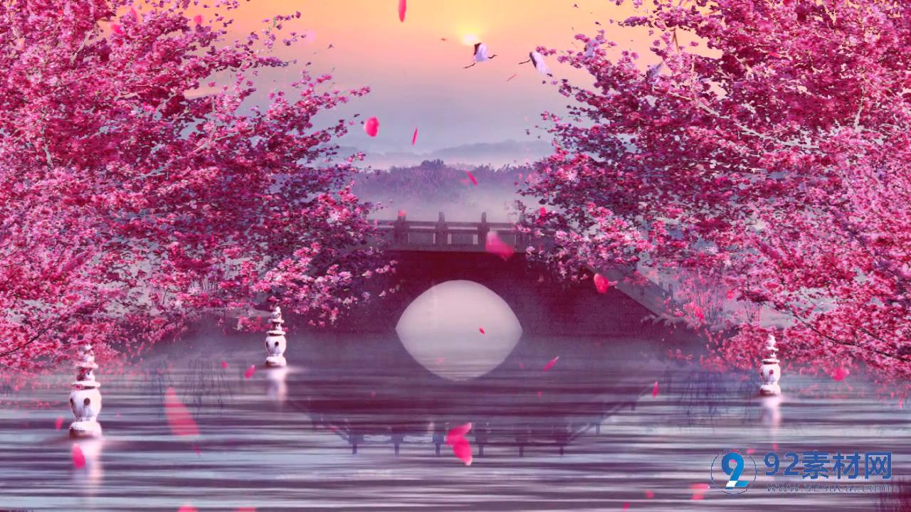 唯美江南风粉色浪漫桃花绽放背景视频素材