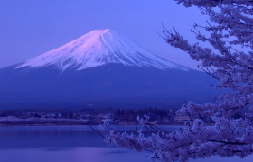 日本樱花与富士山视频素材ae模板视频素材教程专题 92素材网