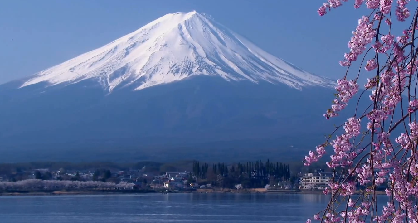 日本富士山唯美樱花盛开实拍视频素材