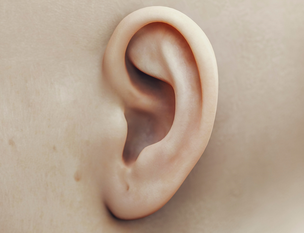 人体肌肤仿真设计女性耳朵人体结构c4d精品模型展示(含贴图)