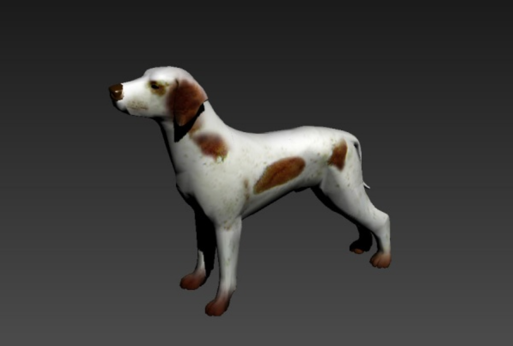 南斯拉夫斑点狗大麦町犬dalmatian 3d Model下载 92素材网