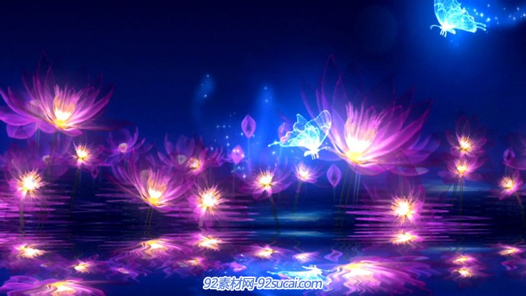 紫色荷塘蓝色荧光蝴蝶荷花摇曳倒影动态视频背景