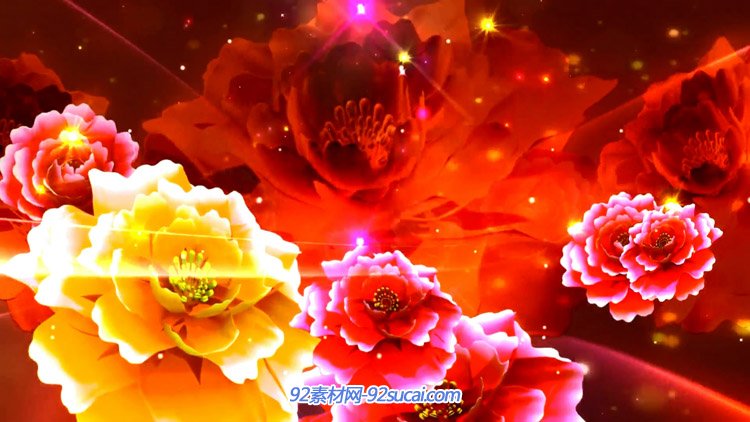 3d多彩国色天香牡丹花绽放光彩 中国风喜庆舞台背景动态视频素材