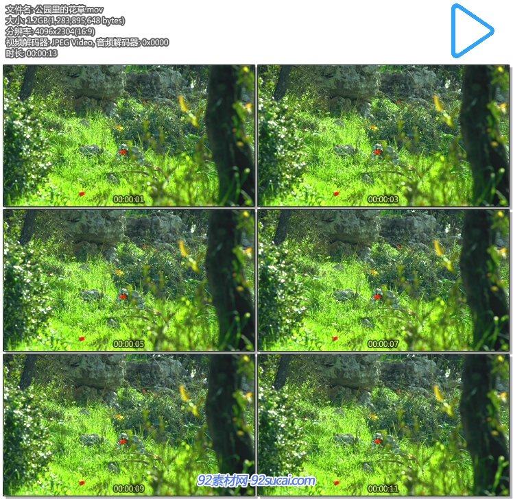 公园里一角的花花草草 美丽大自然风光风景4k超高清实拍视频素材