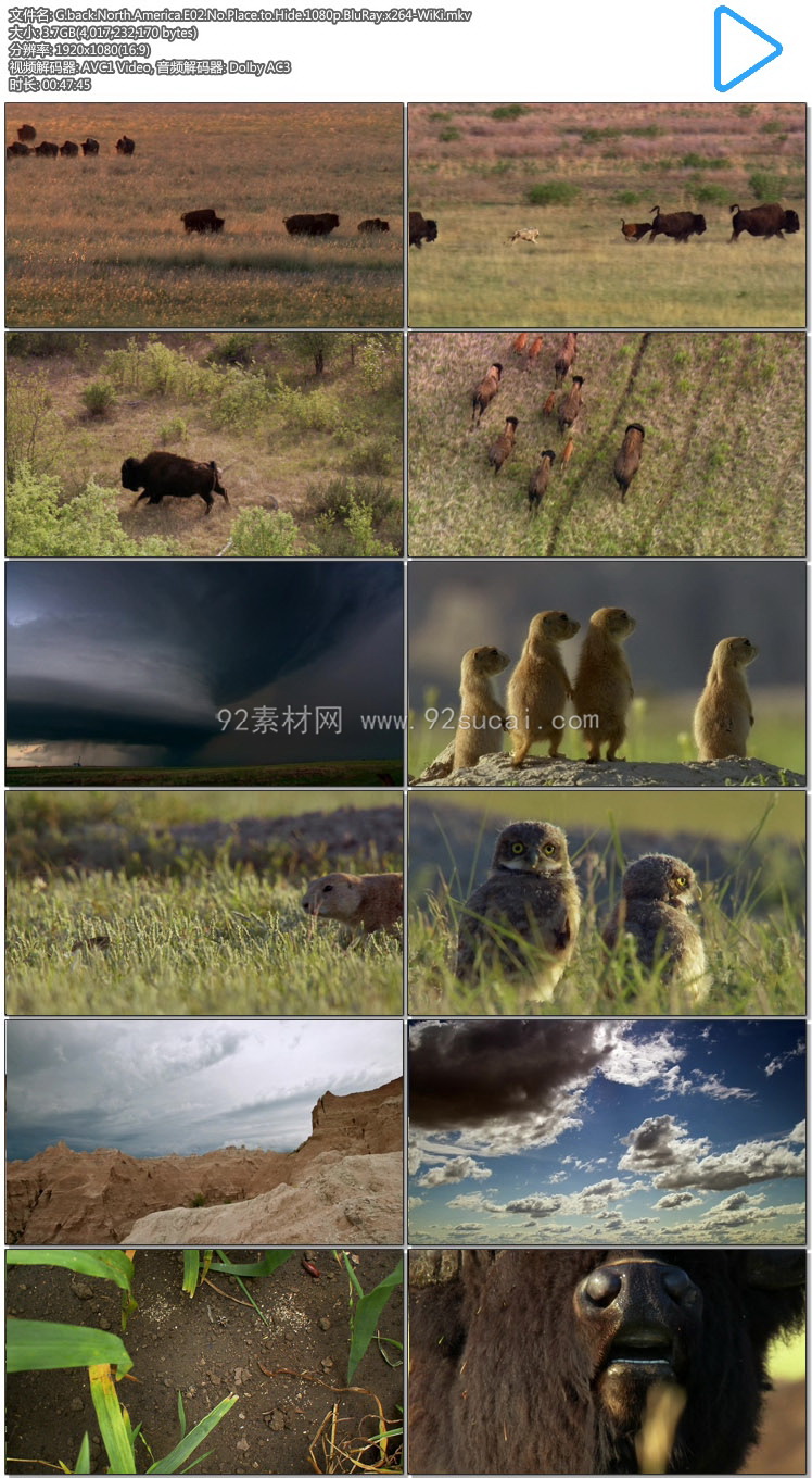 《北美大地-北亚美利加洲》north america 2013 北美自然风光动物世界