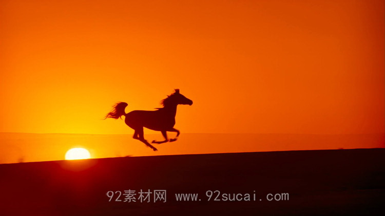 骑马奔跑在沙漠里奔驰晚霞下的马奔跑慢动作特写马群高清实拍