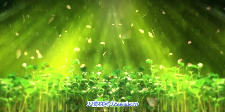 春天雷雨季节 滋润大地植物发芽生长意境LED舞台背景动态视频素材