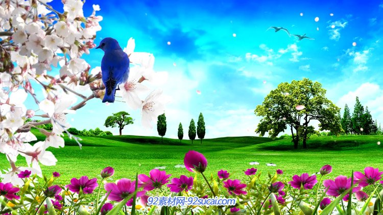 鸟儿花朵自然风光美景 绿色草地大树蓝天led舞台背景动态视频素材