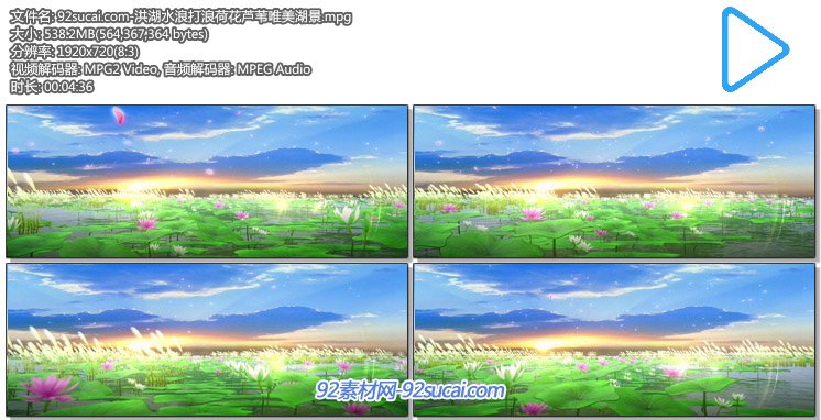 洪湖水浪打浪唯美荷花开放美景芦苇湖景led歌曲舞台背景动态视频