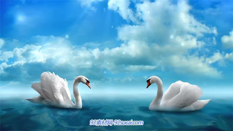 唯美梦幻碧海蓝天天鹅相会 阳光投射飘浮粒子led婚庆背景视频素材