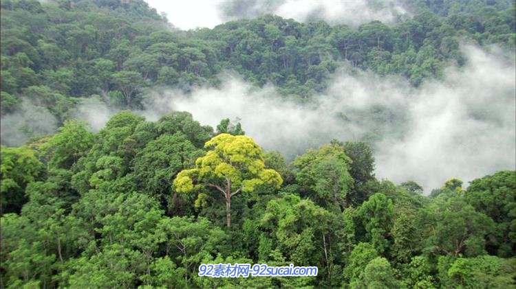 大气磅礴秀丽大山森林自然风景 高山森林高清航拍-92素材网