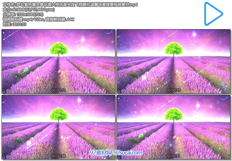 梦幻紫色薰衣草花海大树流星光效飞翔婚礼温馨场景背景视频素材