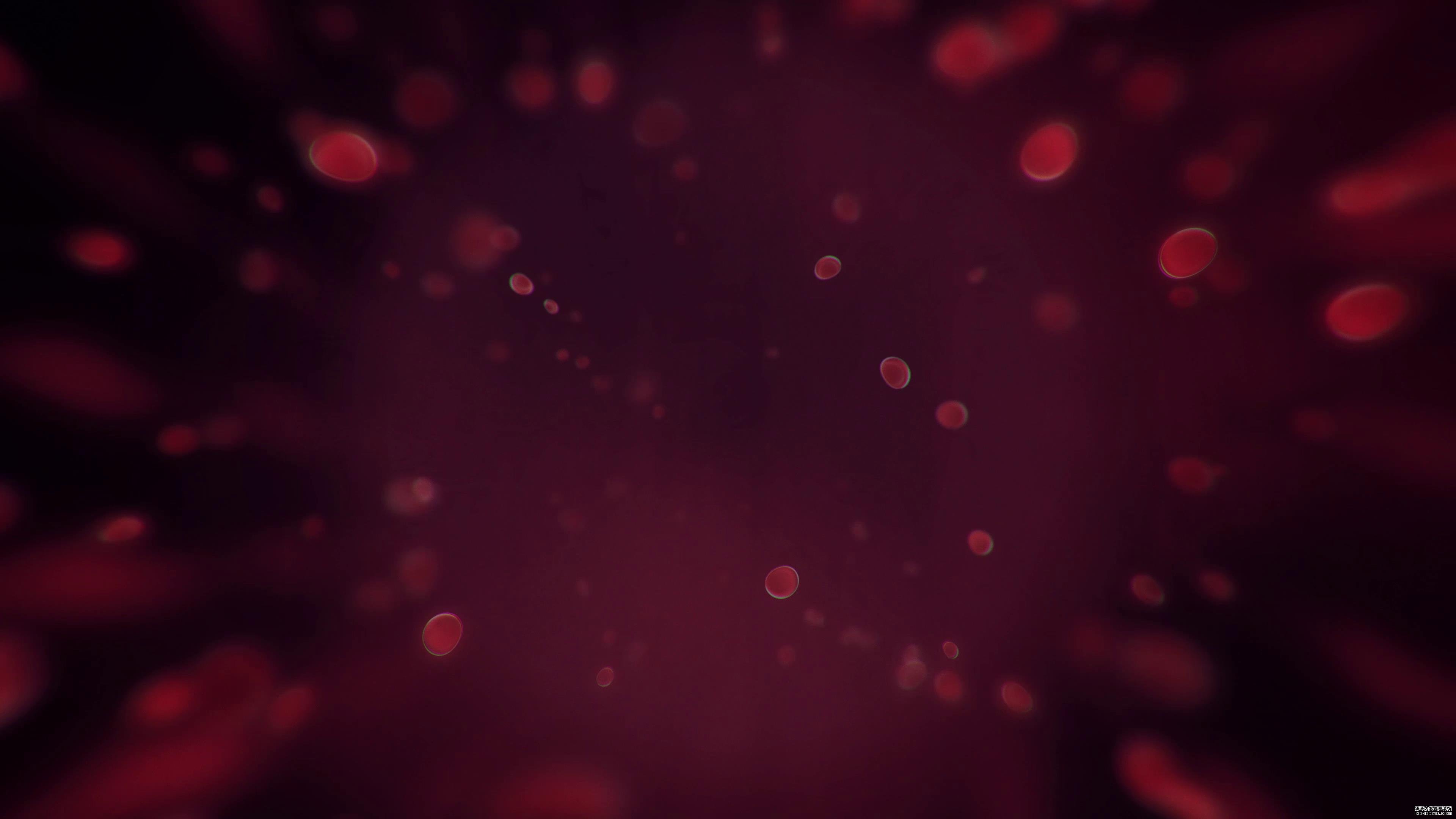 抽象血液流动血细胞内部微观视频素材