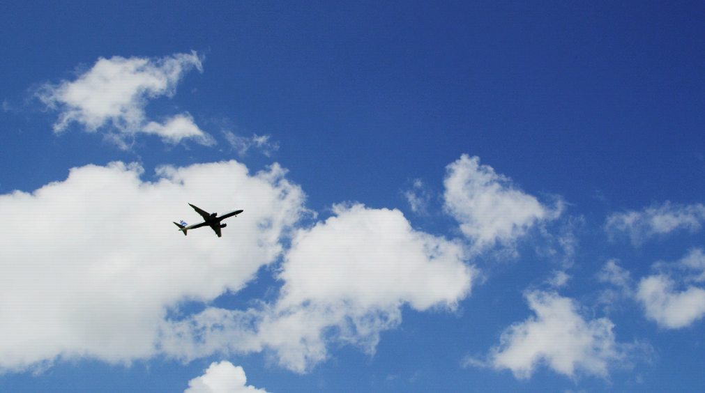 飞机在蓝天的映衬下也成为了一道独特的风景线,画面相当唯美